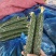 精品蔬菜，