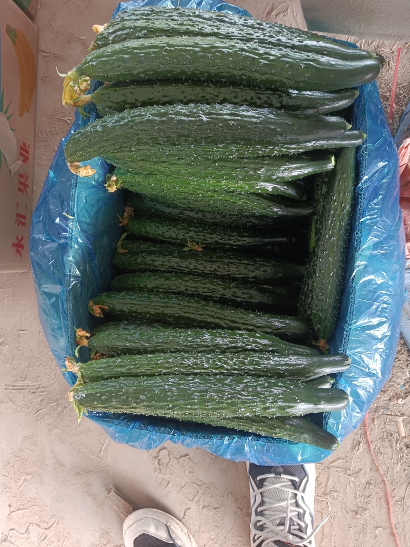 精品蔬菜，