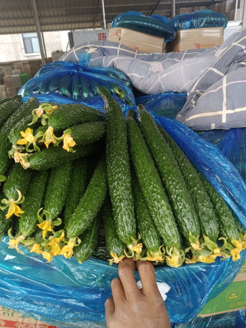 精品蔬菜，