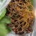 天然正宗云南野生虫草品质**量大从优不容错过