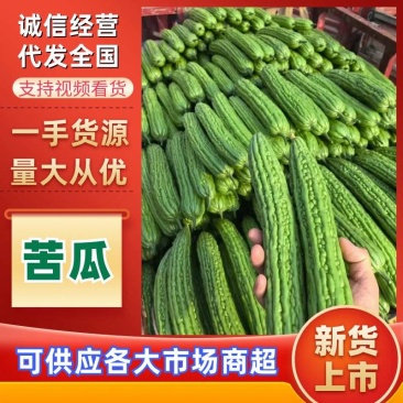 【实力推荐】苦瓜大量有货量大从优保质保量可对接商超市场