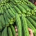 【实力推荐】苦瓜大量有货量大从优保质保量可对接商超市场