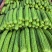 【实力推荐】苦瓜大量有货量大从优保质保量可对接商超市场