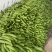 【实力推荐】苦瓜大量有货量大从优保质保量可对接商超市场