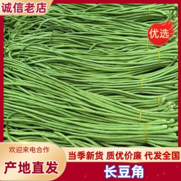 【实力推荐】长豆角大量上市保质保量量大从优欢迎咨询
