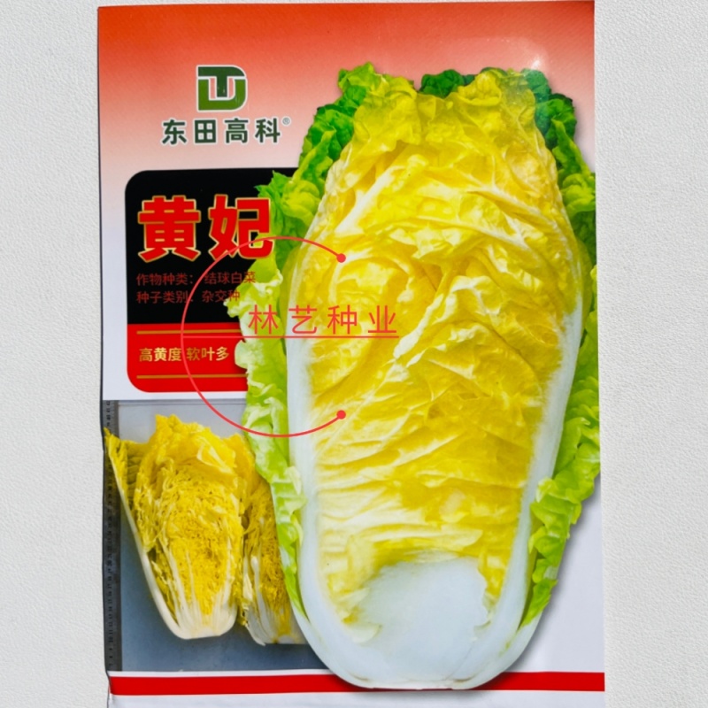 黄妃黄心白菜种子口感好绿叶黄心早熟高产商品性佳