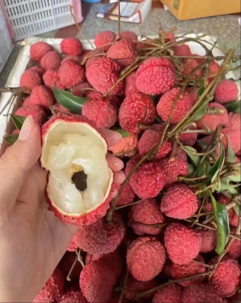 福建漳州荔枝蜜丁香一件代发顺丰空运包邮。