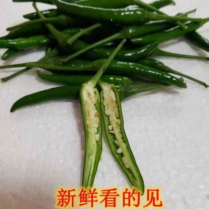 云南高原山地小米辣