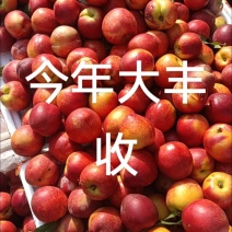 油桃