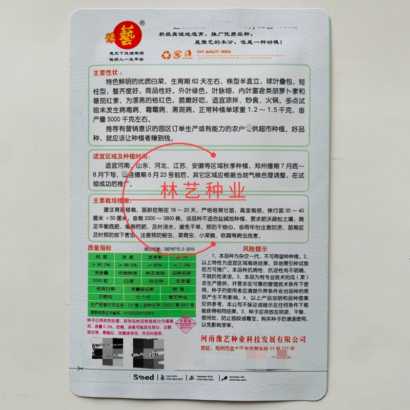 龙芽皇白菜种子桔红心白菜种子抗病特色优质白菜种子秋季白菜