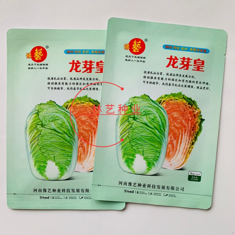 龙芽皇白菜种子桔红心白菜种子抗病特色优质白菜种子秋季白菜