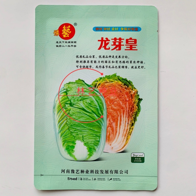龙芽皇白菜种子桔红心白菜种子抗病特色优质白菜种子秋季白菜