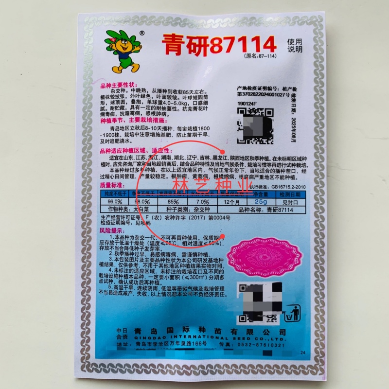 琴萌青研87114大白菜种子杂交种中晚熟大白菜种子