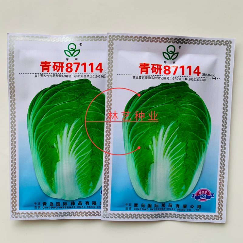 琴萌青研87114大白菜种子杂交种中晚熟大白菜种子