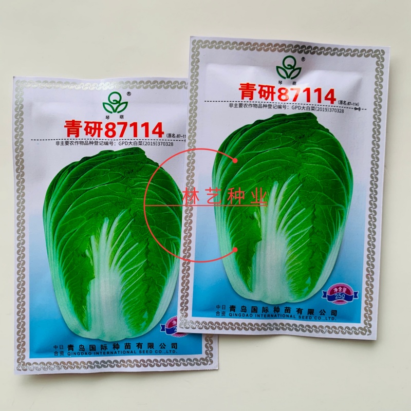 琴萌青研87114大白菜种子杂交种中晚熟大白菜种子