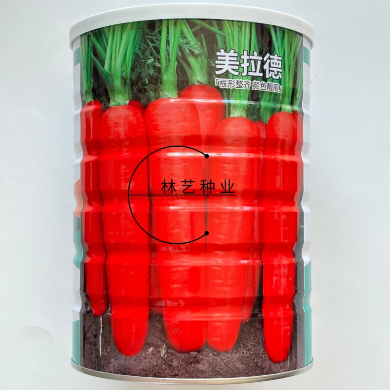 美拉德胡萝卜速生长高产圆锥型胡萝卜大田基地种植抗病胡萝卜