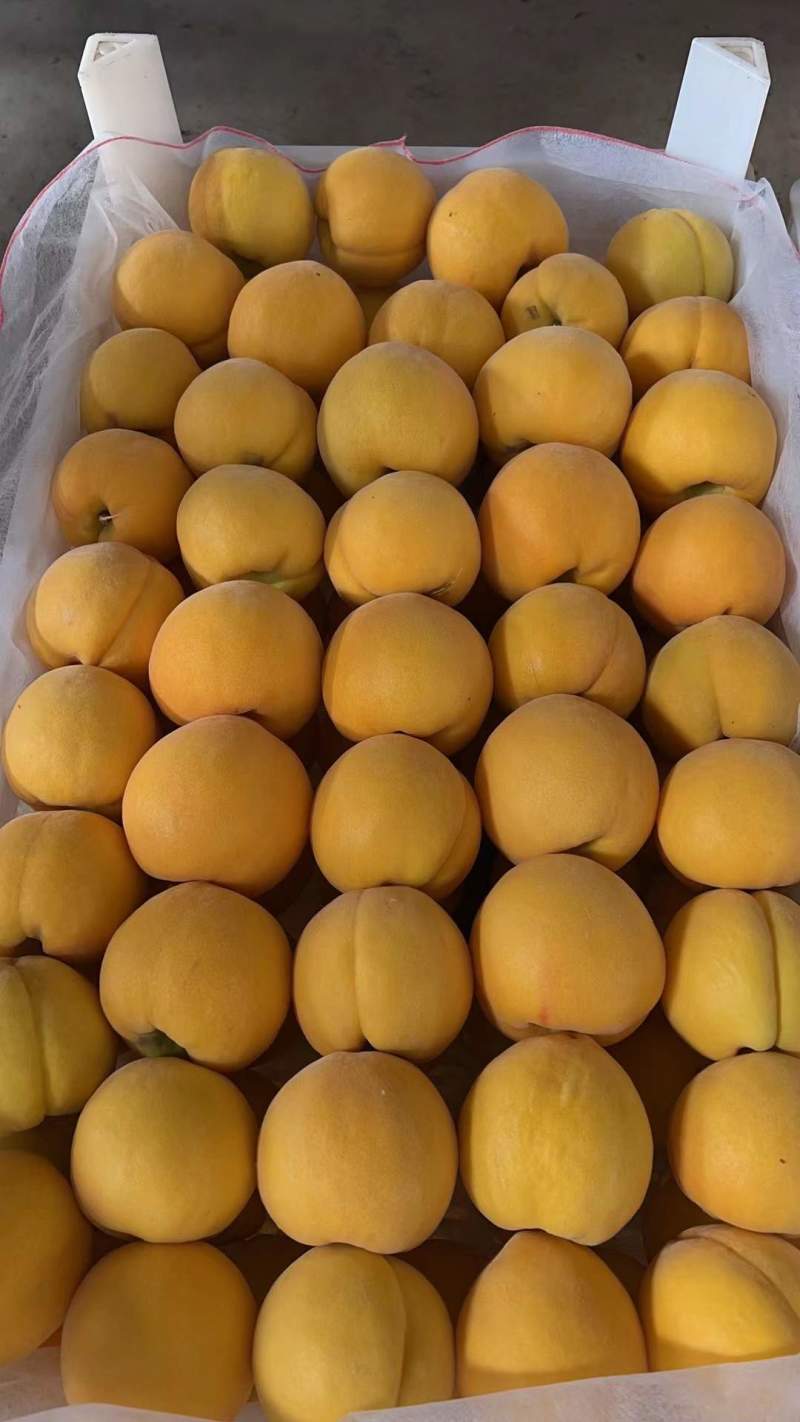 又脆又甜的黄玫瑰桃子！
