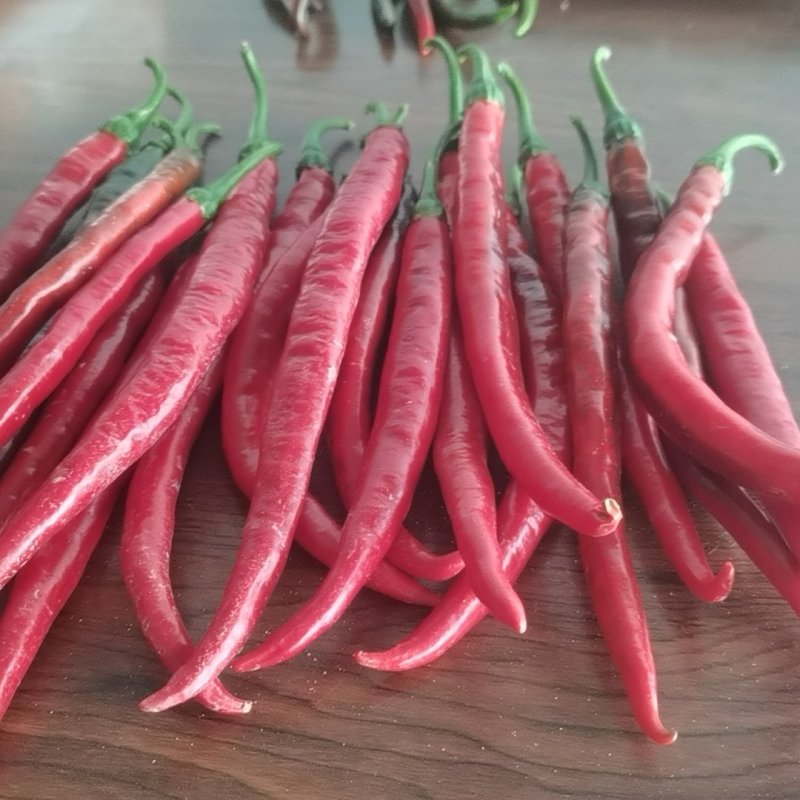 鲜辣椒，二荆条辣椒，青辣椒，四川南充，货量足