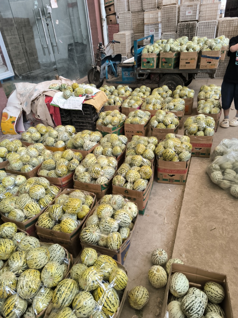 花美人甜瓜量大从优