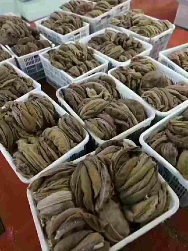 双A黄牛大叶片大量有货价格透明全国发货火锅必备