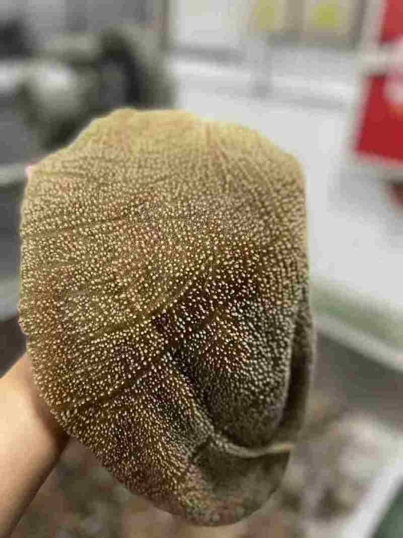 双A黄牛大叶片大量有货价格透明全国发货火锅必备