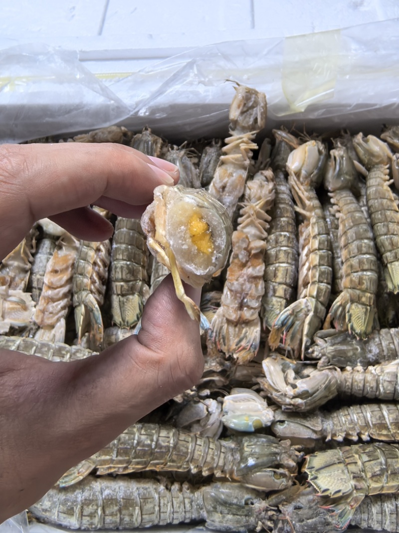鲜冻皮皮虾