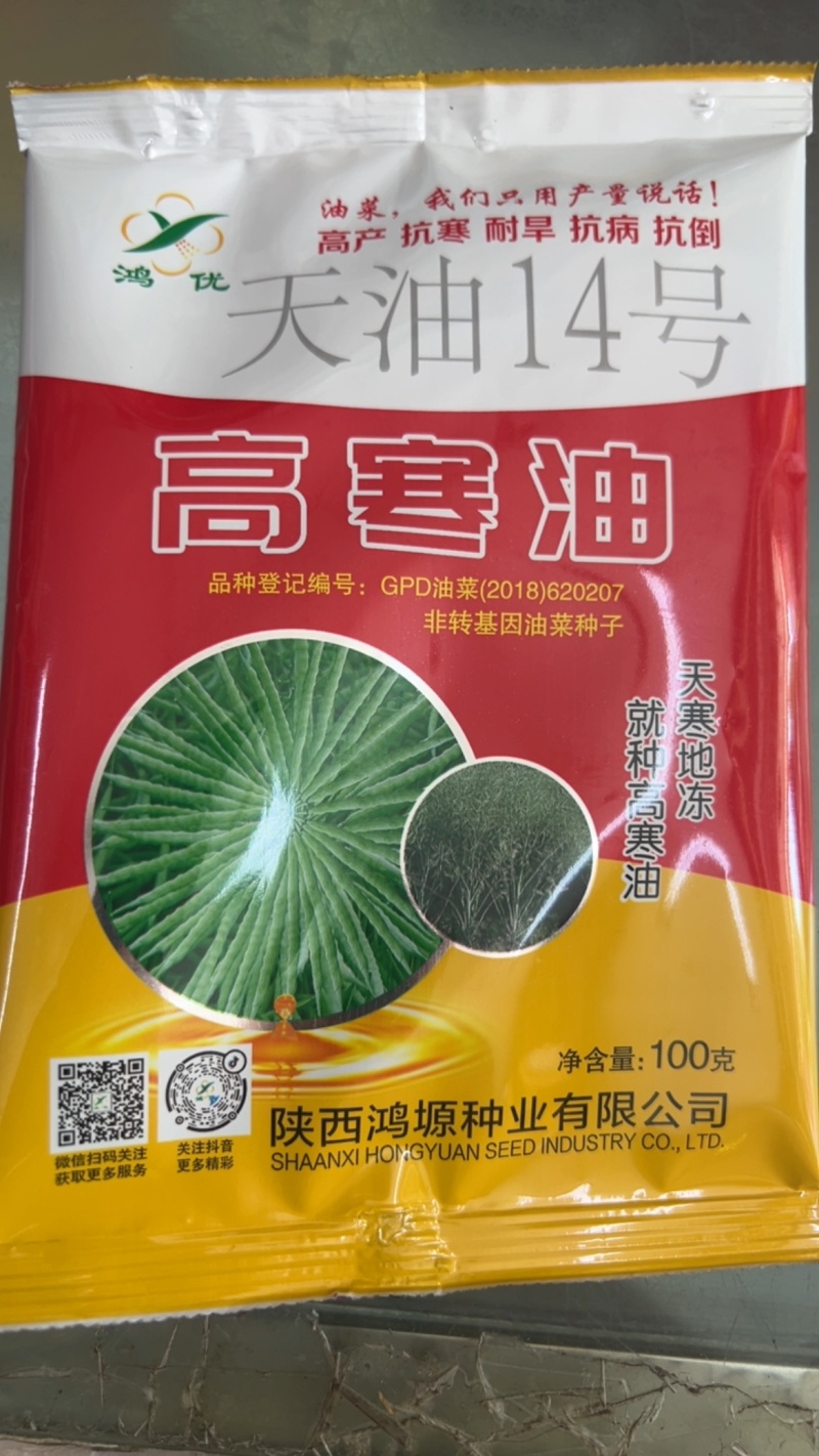 高寒油油菜种子天油14高产抗寒耐旱抗倒