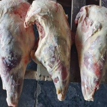 大羊后腿，带骨大羊后腿肉