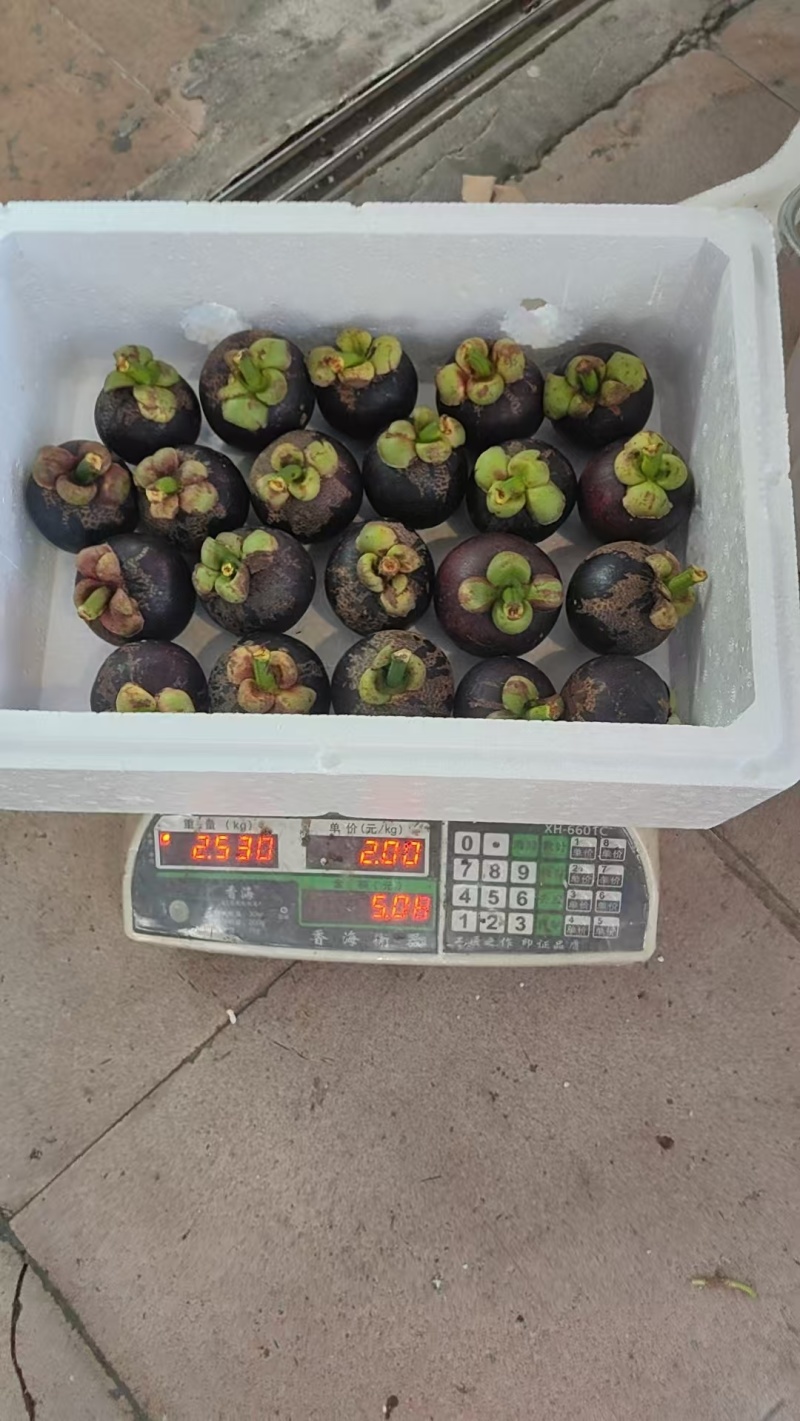 红毛丹一件代发电商微商