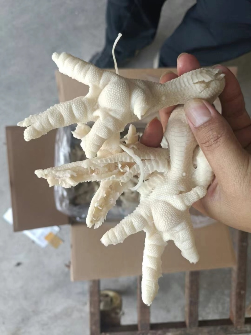 去骨鸡爪单冻板冻规格齐全箱装9斤/箱