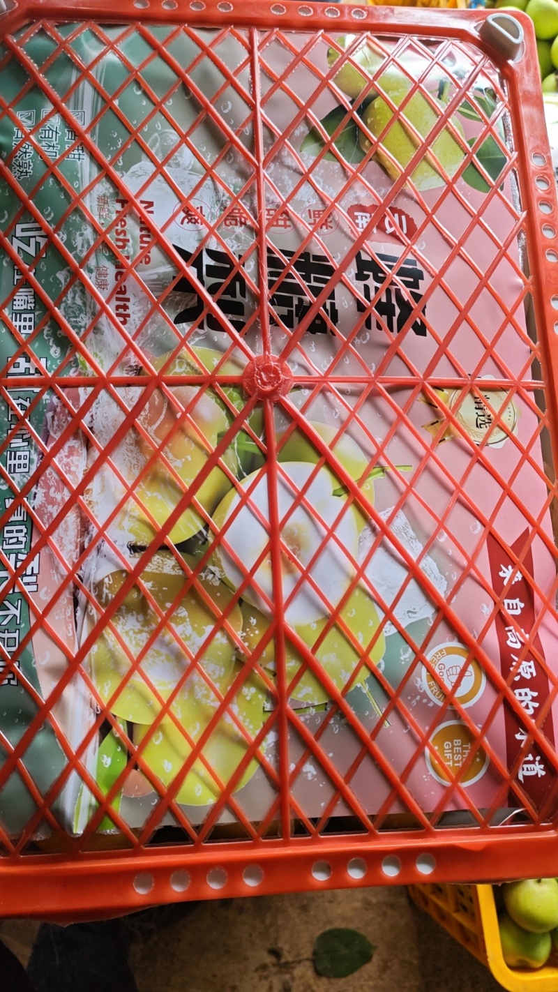 云南丁香梨。蜂糖梨！大量上市欢迎采购