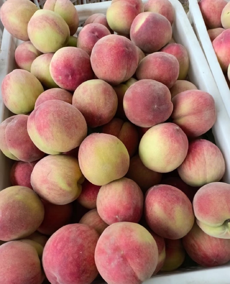 北京八号75mm起步大吨位供货全国发货大量