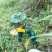 野蜂蜜