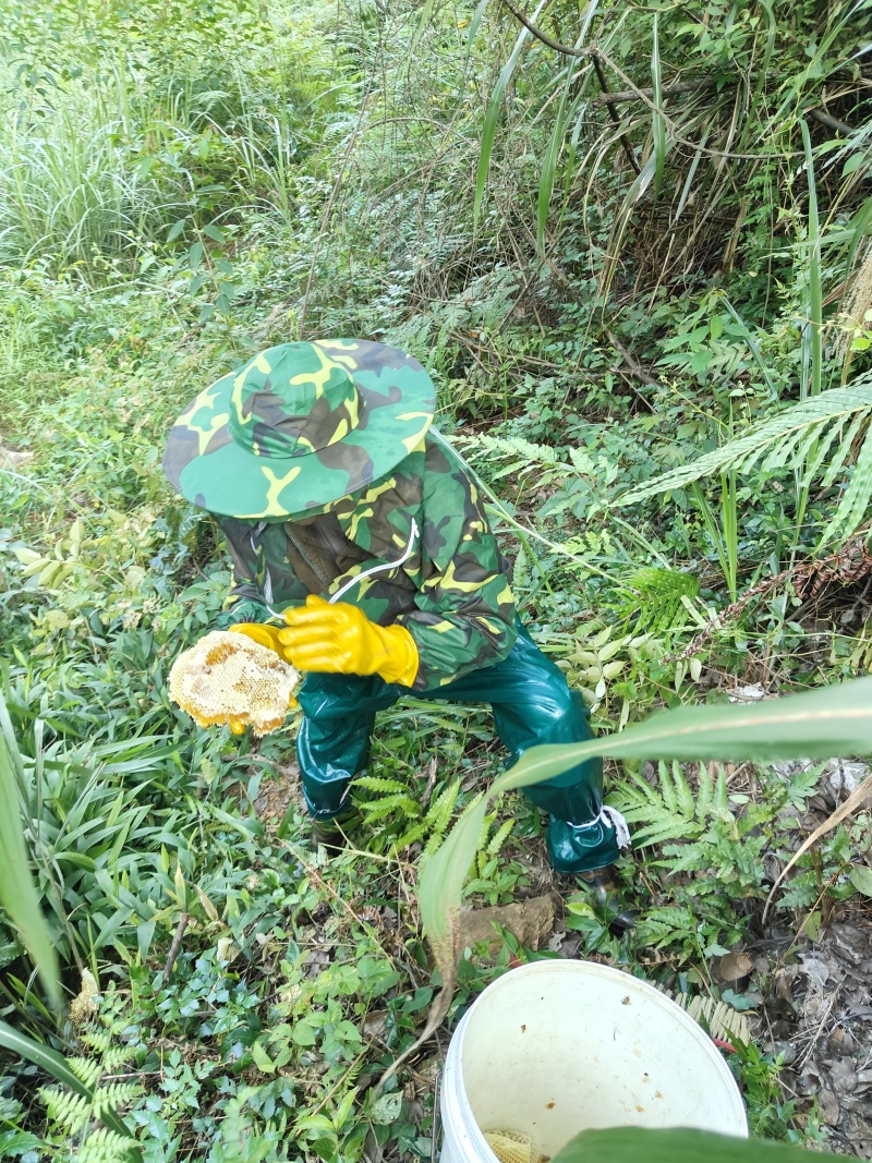 野蜂蜜