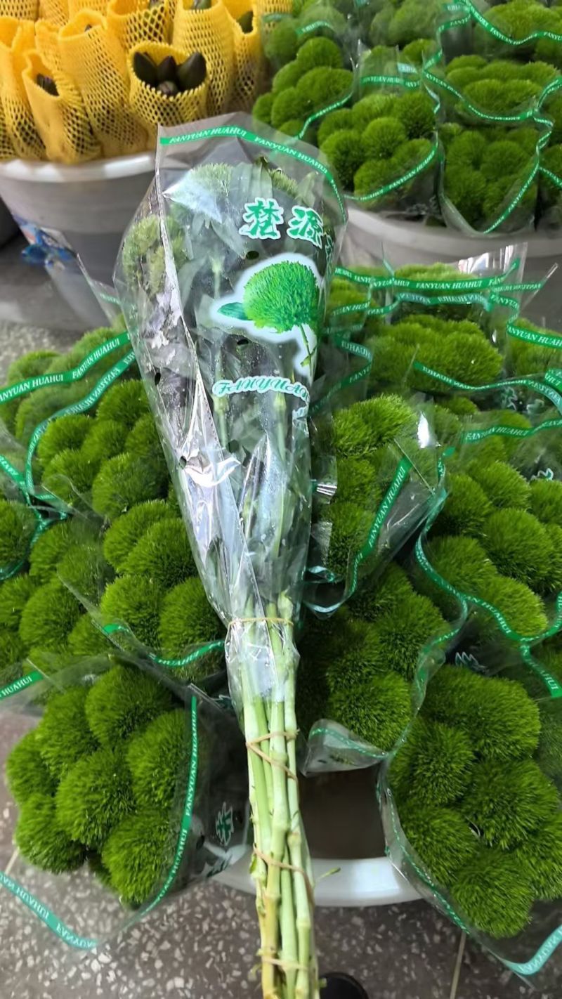 绿毛球