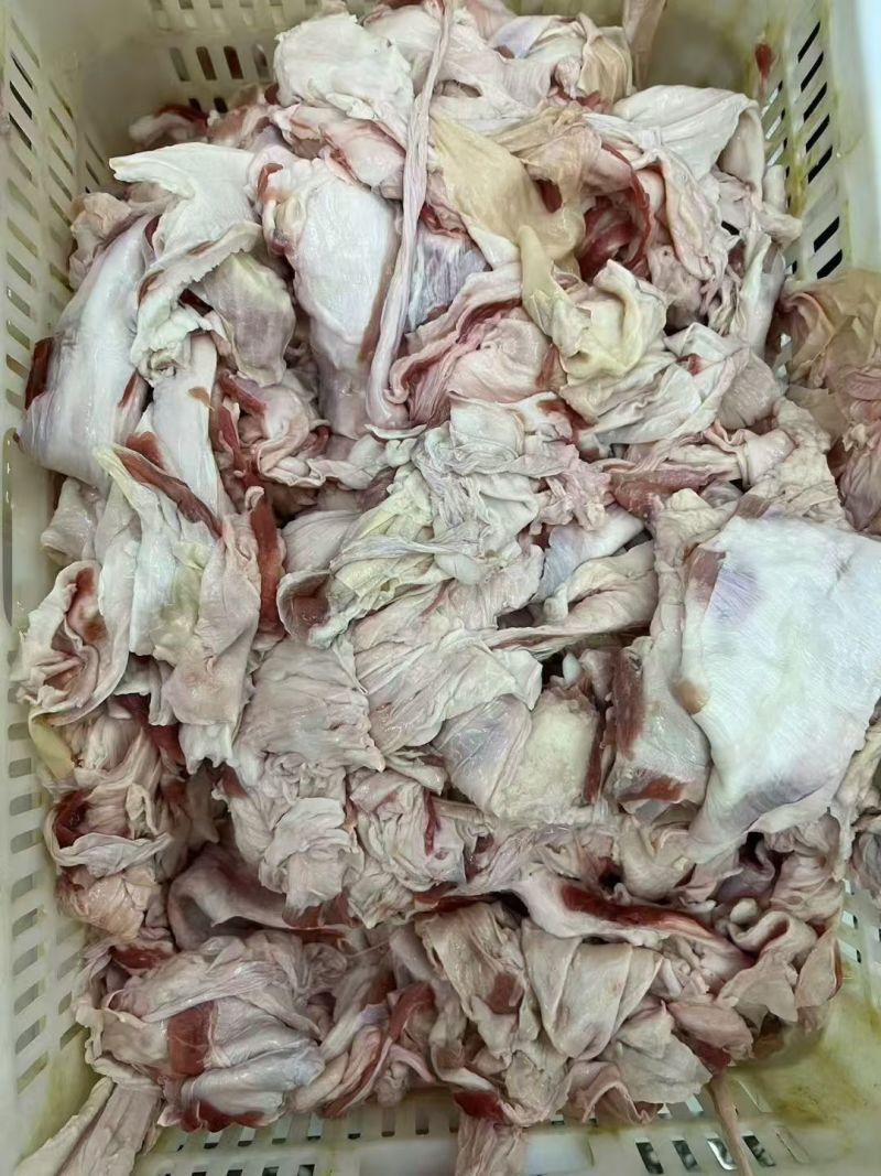 牛筋皮，牛薄筋皮