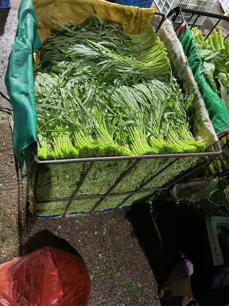 空心菜