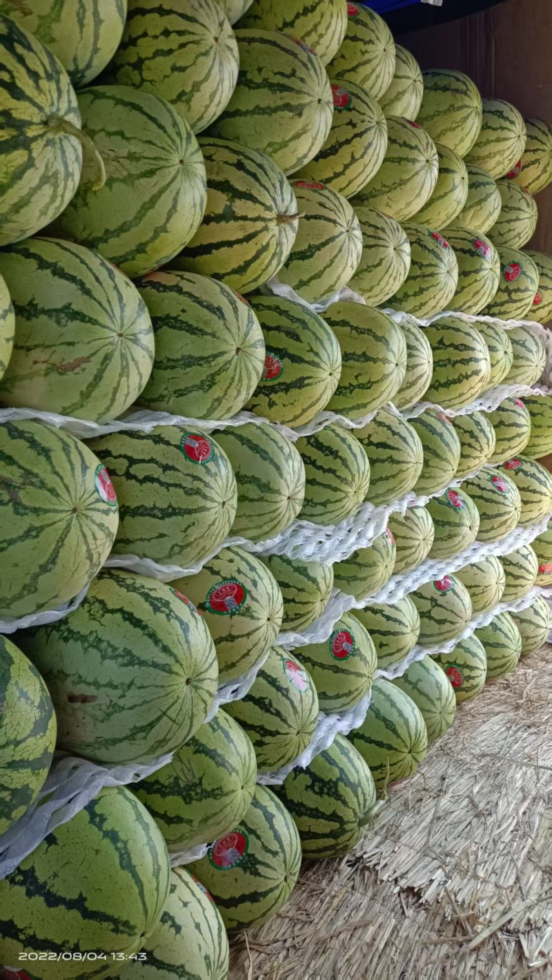 【优选商家】精选硒砂瓜基地直发量大从优可视频看货