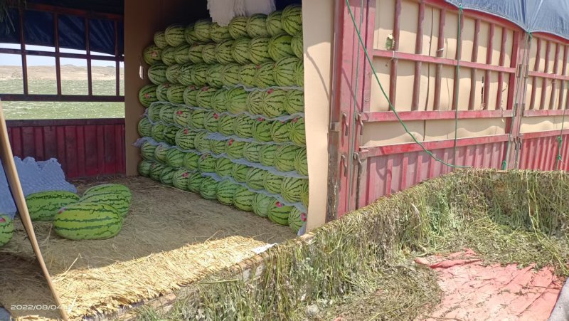 【优选商家】精选硒砂瓜基地直发量大从优可视频看货