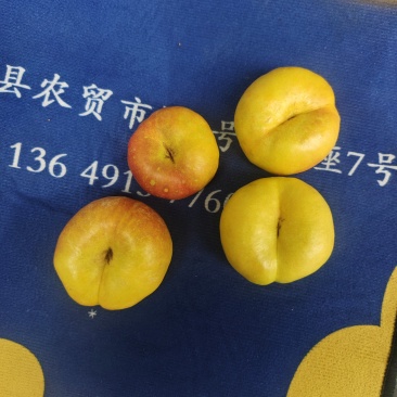 黄金蟠桃