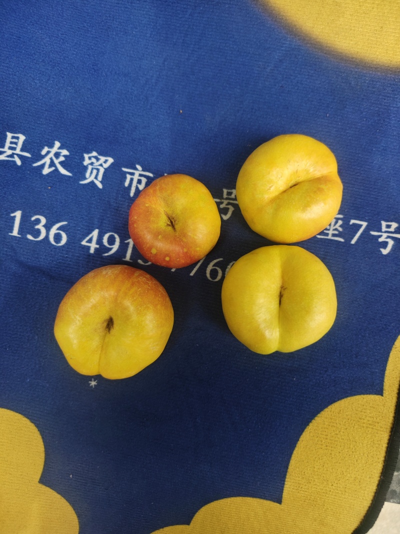 黄金蟠桃