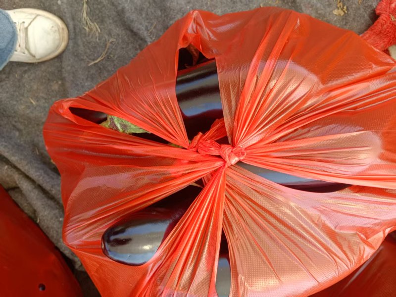 紫把茄子大量上市产地一手货源支持物流发货食堂电商超市