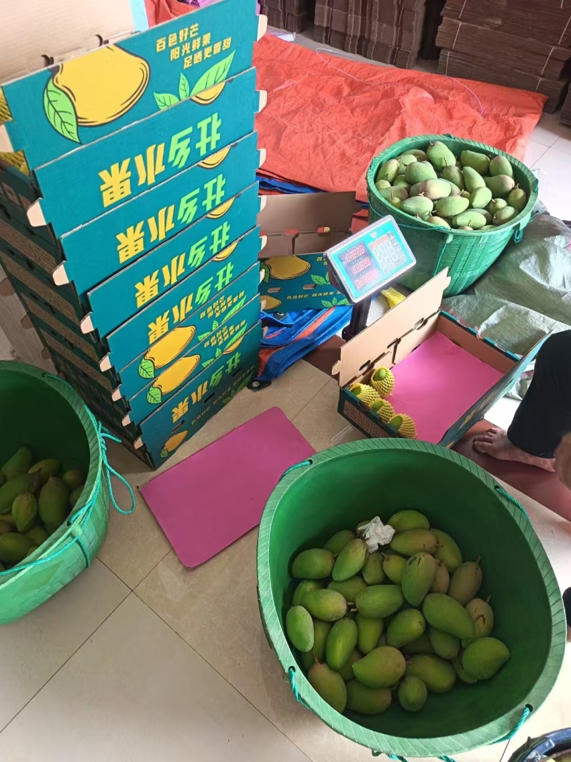 广西百色大台农，甜度20+，产地直发，一件代发