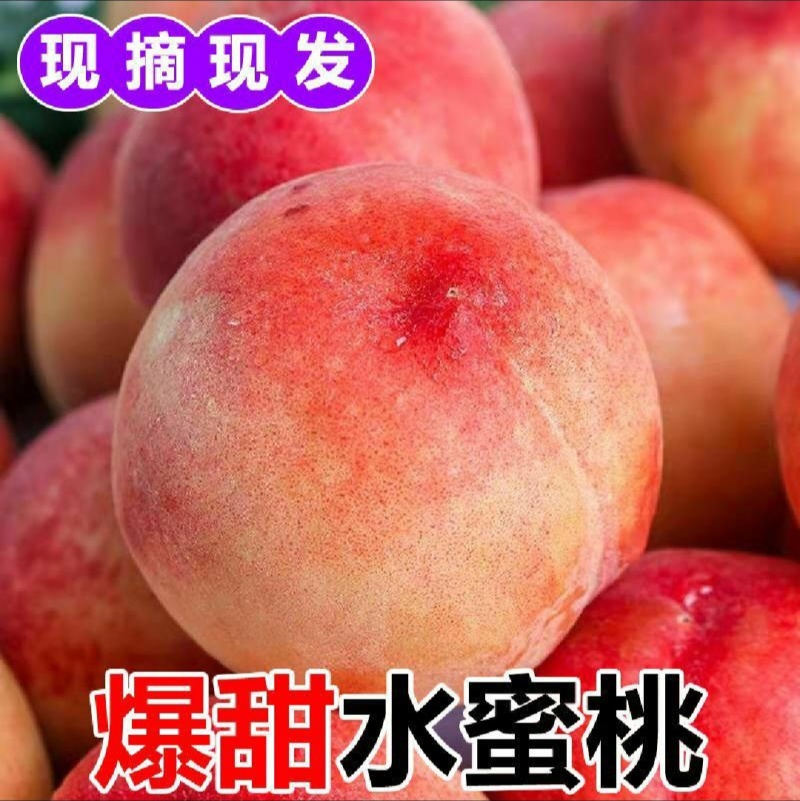 广东水蜜，桃量大从优，全国发货，脆桃水蜜桃
