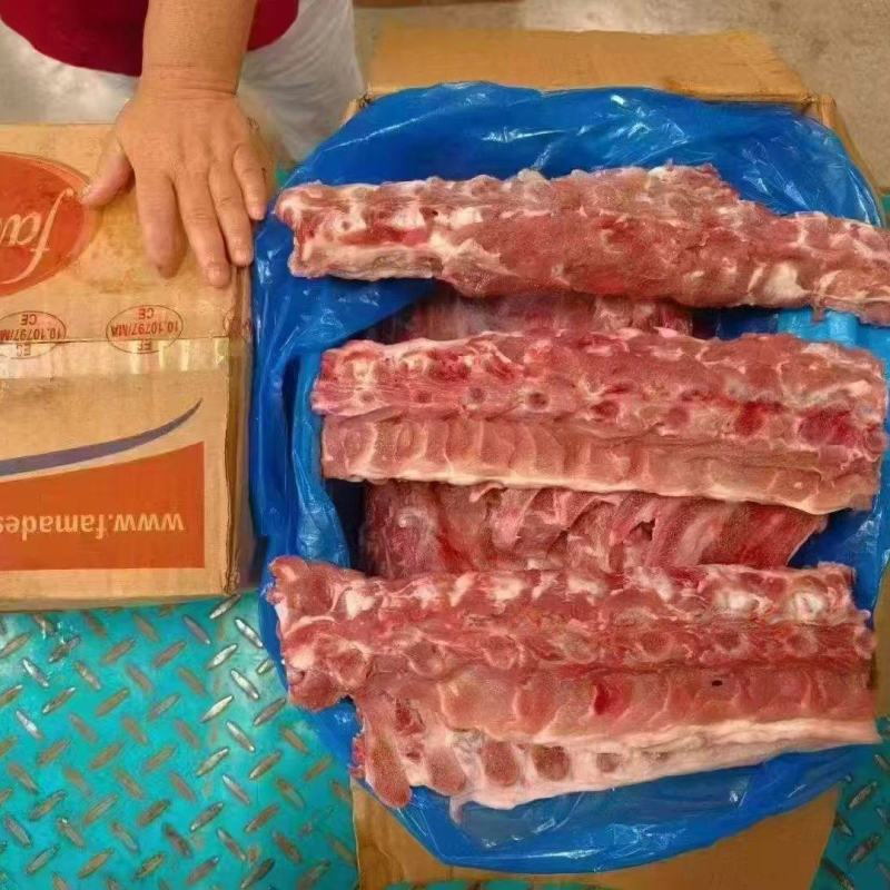 背骨