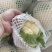 花菜