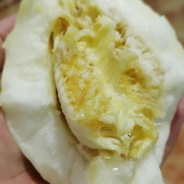 东北甜香瓜