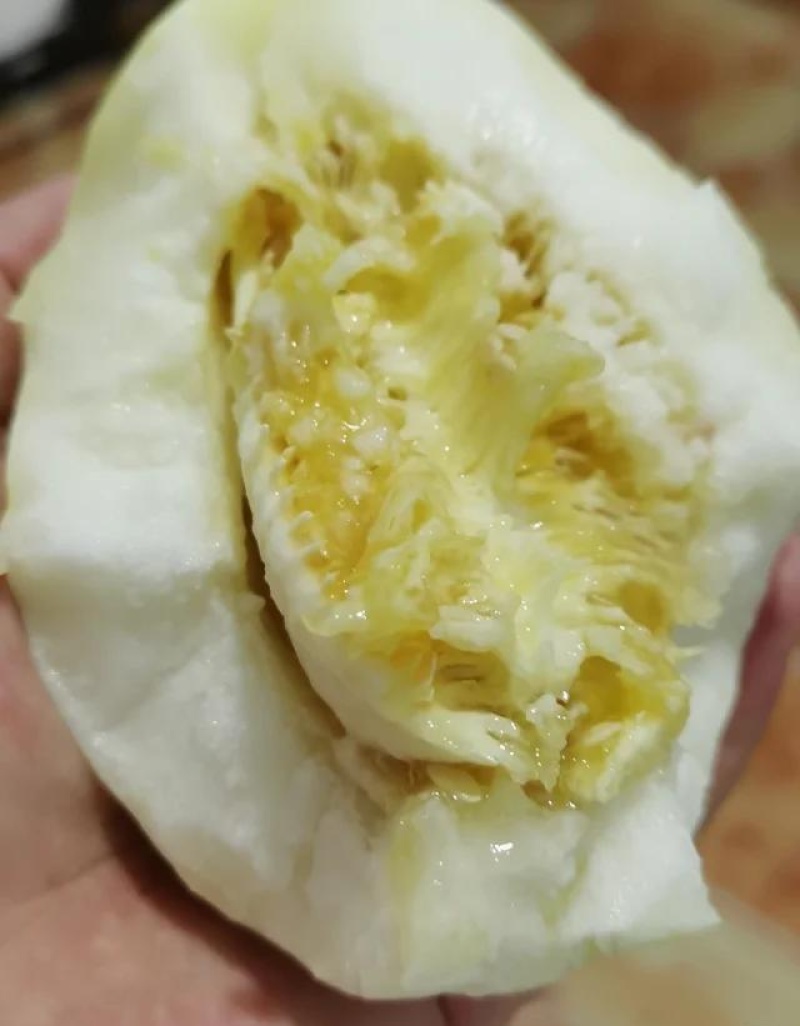 东北甜香瓜