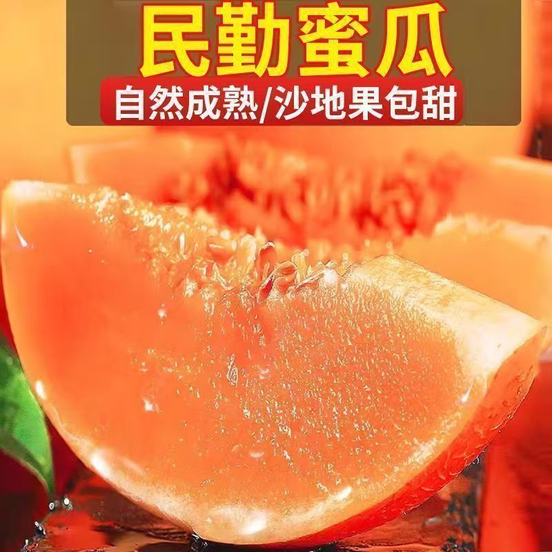 甄选正宗民勤蜜瓜金红宝沙漠甜瓜新鲜水果甜瓜