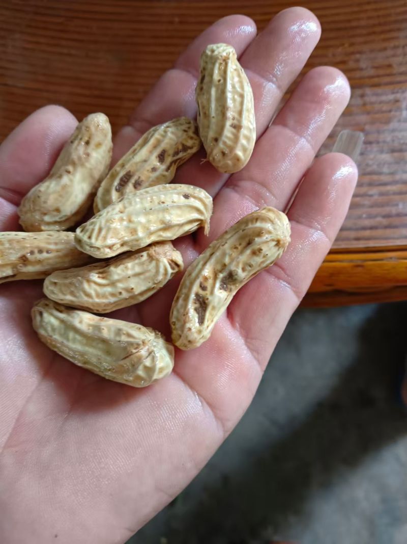 云南黑花生，高山种植。